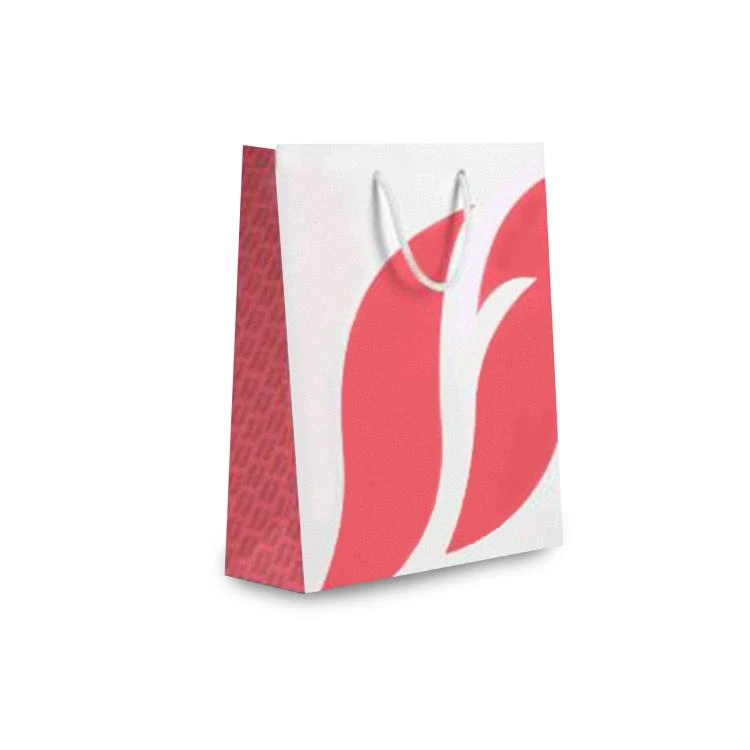 image of Big Coral Carton Bag